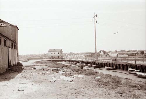 Malhada  (foto de Dr. João de Oliveira)