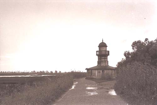 Antiga estrada da Sacor (Foto de Dr. João de Oliveira)